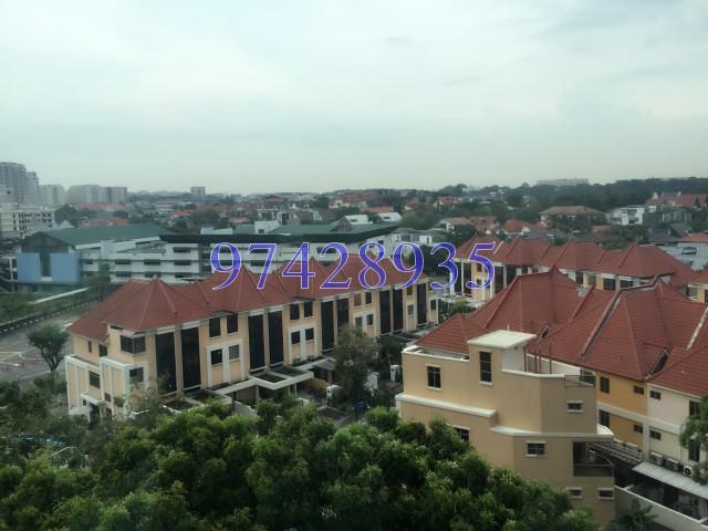 The Chuan (D19), Condominium #121847832